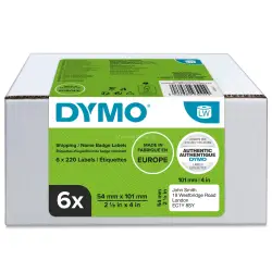Etykiety DYMO na identyfikator transportowy imienny - 101 x 54 mm biały 2093092 (6 rolek)